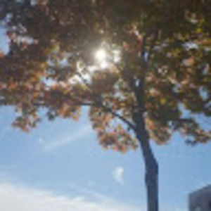 Meet your Posher, Reese